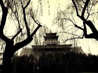 R0011446 - 副本.JPG