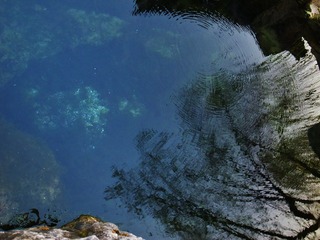 R0011600 - 副本.JPG