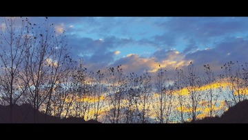 AD0DF698-3825-433C-8C94-E915C618D77B/L0/001