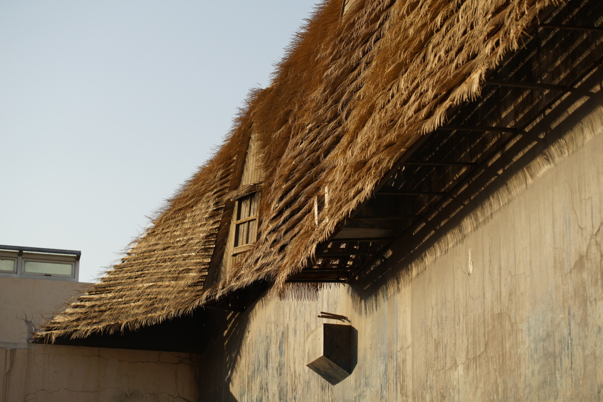 房屋一角 - 大眼葡萄精