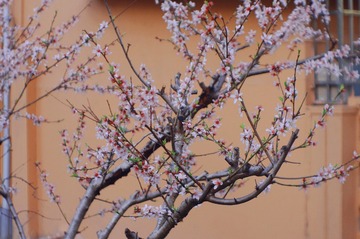 BA7BDDC6-B0DD-4622-B800-E57E1E47442C/L0/001