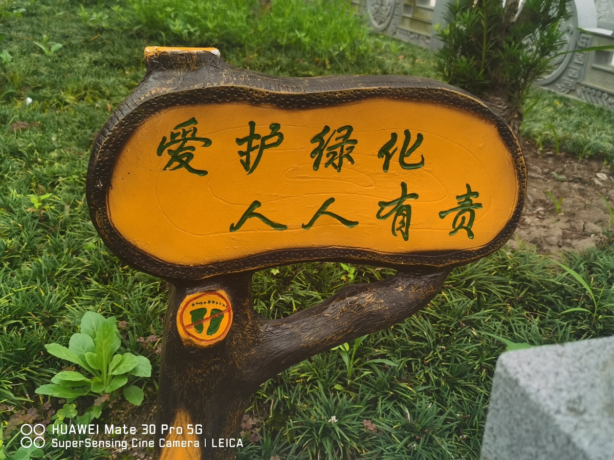 爱护绿化人人有责