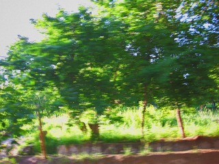 80155368-7DFA-4CA5-87F0-B22B0BD212E2/L0/001