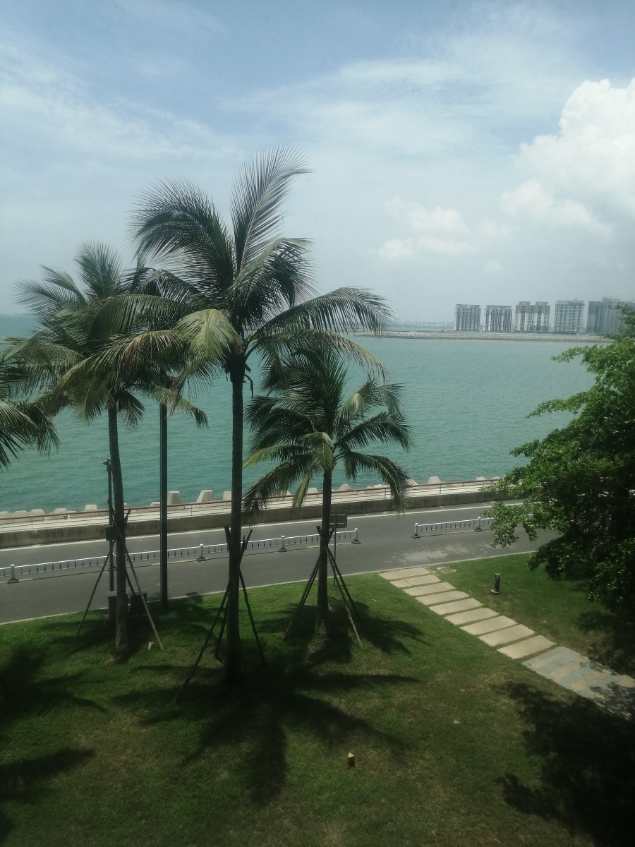 也许海边能真正的解放心情吧