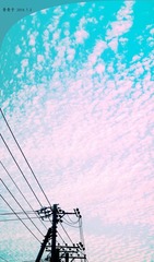 20100703