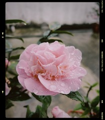 F70AB285-B86D-4717-A9CA-670635DF022B/L0/001