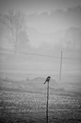 _DSC7548.jpg