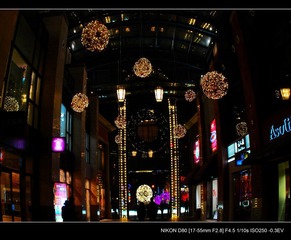 DSC_0910.JPG