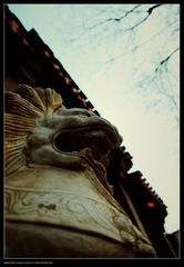 DSC_0013.JPG