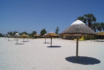 305