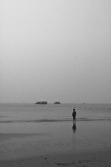 IMG_2421.jpg