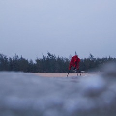 IMG_2500.jpg