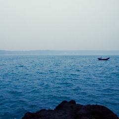 IMG_2602.jpg