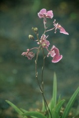 IMG_3352.jpg
