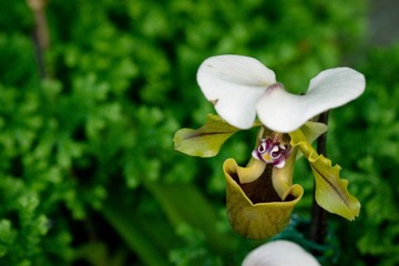 IMG_3391.jpg
