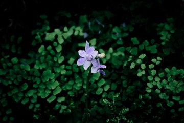 IMG_3398.jpg