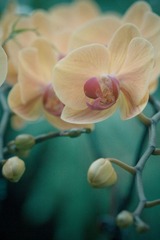 IMG_3411.jpg