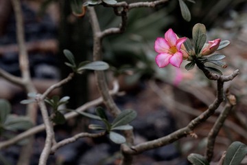 IMG_3446.jpg