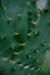 IMG_3497.jpg