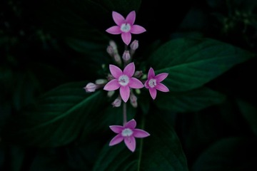 IMG_3507.jpg