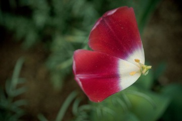 IMG_3521.jpg