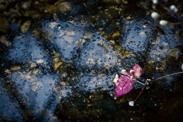 IMG_3527.jpg