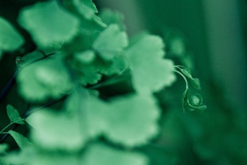IMG_3542.jpg