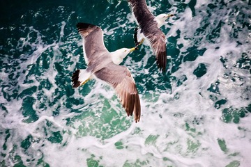 IMG_5254.jpg