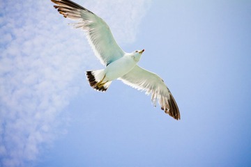 IMG_5268.jpg