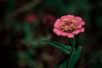IMG_6280.jpg