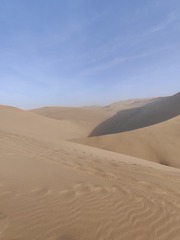 1000037562