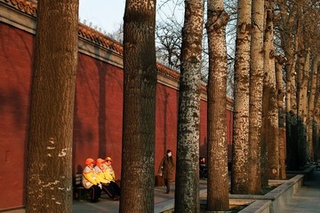 SDIM1357.jpg