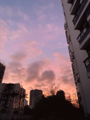 2EC89B50-8090-4F5D-AE5A-86EE995F4E5E/L0/001