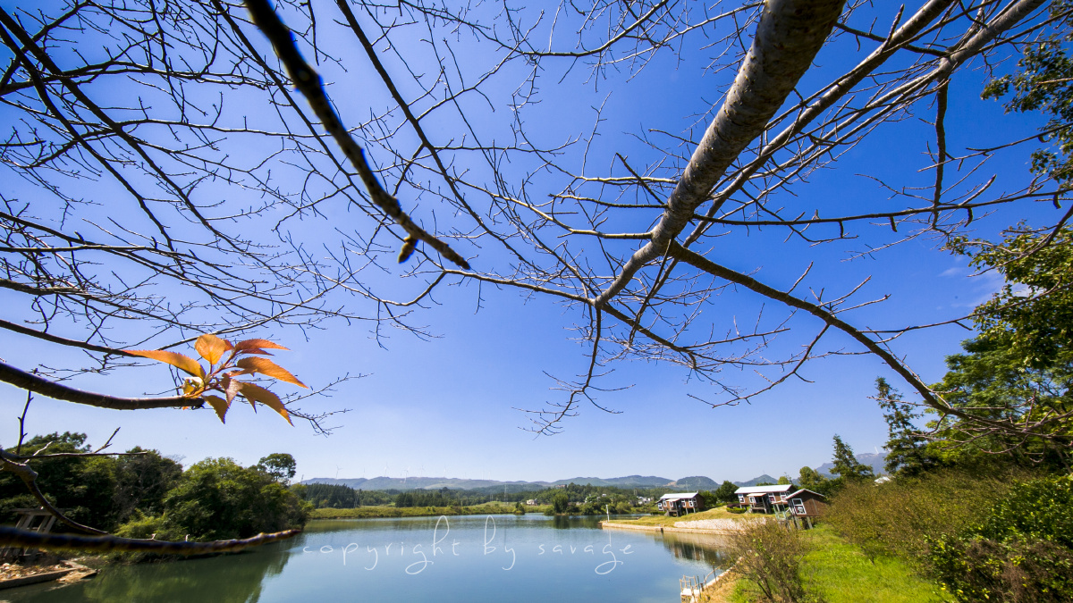 best view in autumn - savage_chen - 图虫网 - 优质摄影师交流社区
