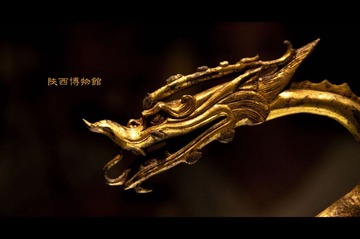 金子龙