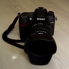 D7000-SIGMA-17-50 2 (2).JPG