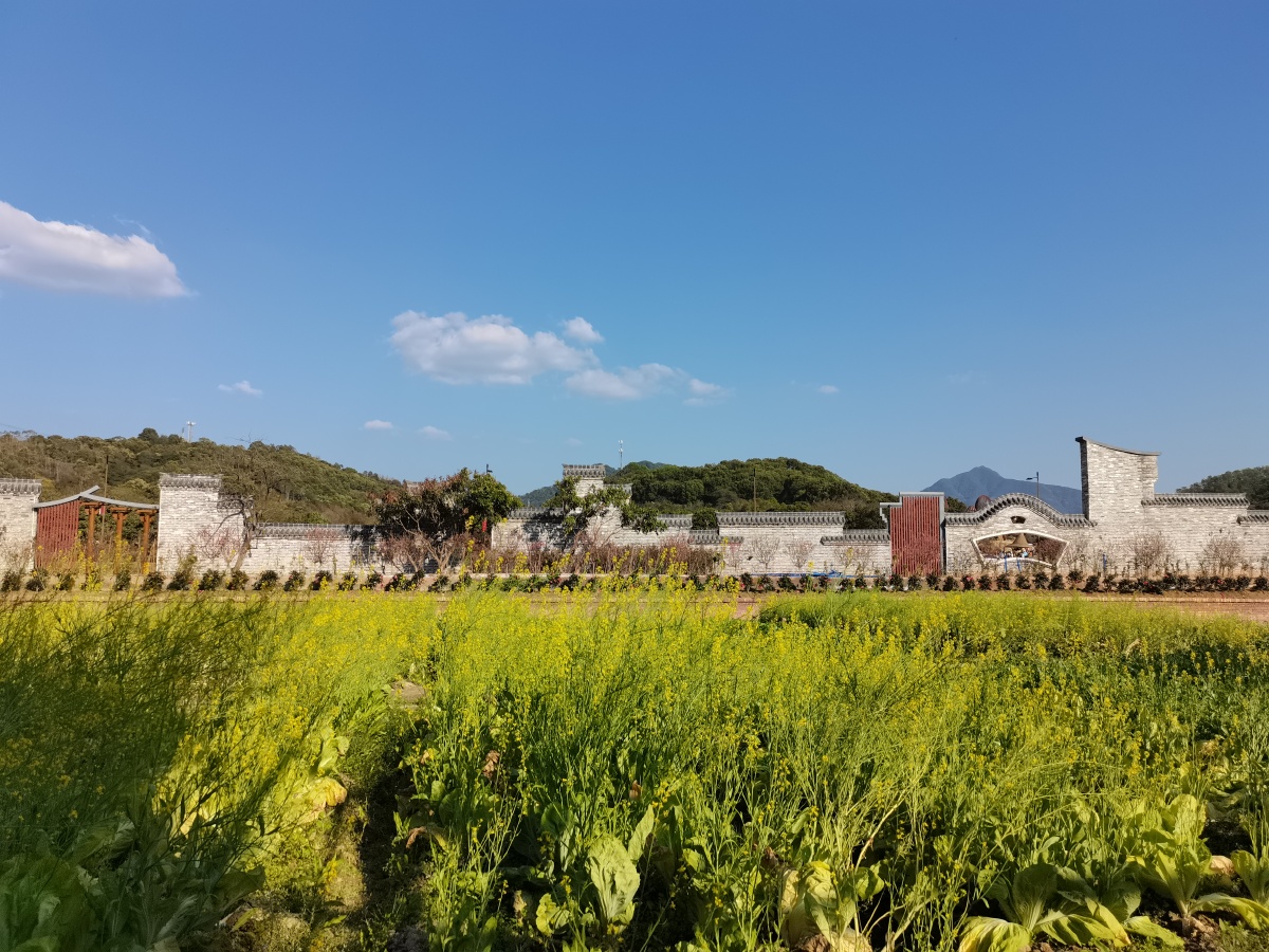 麦田从化罗泾桃花小镇