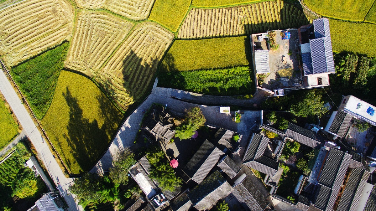 大理沙溪段家登戏台田野