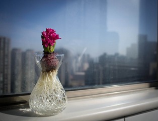 IMGP7525.jpg