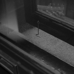 SDIM1868