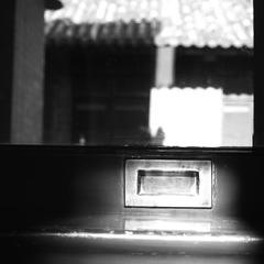 SDIM1875