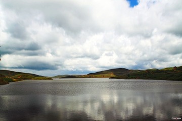 IMG_3600a