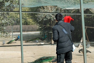DSC_0091_032.jpg