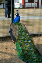 DSC_0106_035.jpg