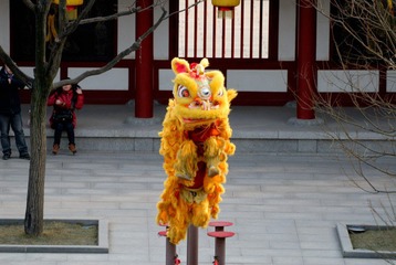 DSC_0200_060.jpg