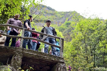 DSC_1905.JPG
