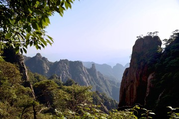 DSC_2369.JPG