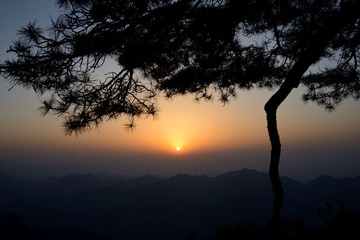 DSC_2457.JPG