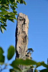 DSC_2626.JPG