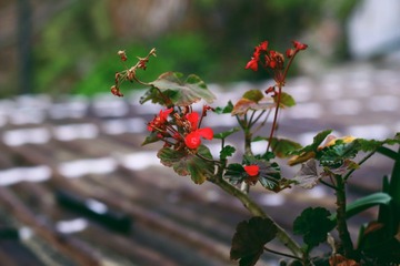 5A58381A-FE5D-4800-B706-2F9FE6546114/L0/001